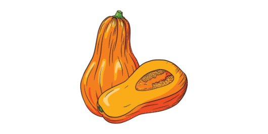 Flespompoen website.jpg Flespompoen website.jpg