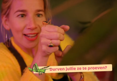 Smaakmissie_eiwitten_insecten.png<L CODE="C12">https://www.smaaklessen.nl/nl/smaaklessen/ons-aanbod/smaakmissies/smaakmissie-avontuurlijke-eiwitten.htm</L>