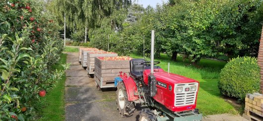 appeloogst 2021 Wellant.jpg appeloogst 2021 Wellant.jpg