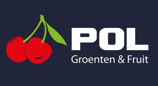 Pol - logo website.jpg